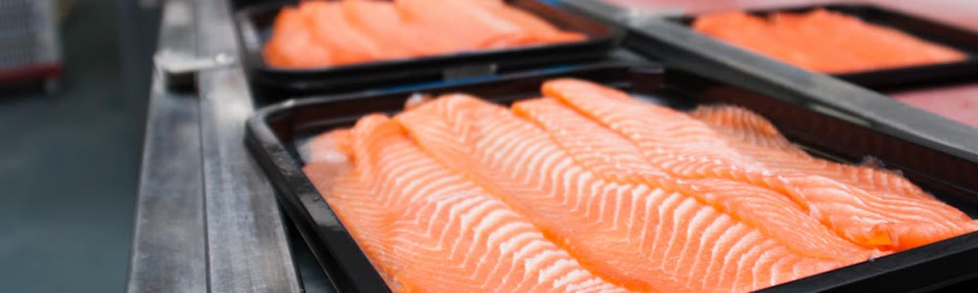 produção de salmão